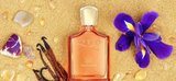 Creed Delphinus 3.3 Fl oz EDP